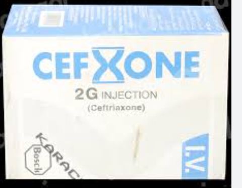 CEFXONE 2G IV INJ