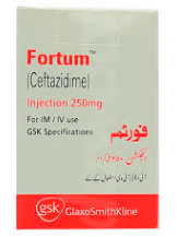 FORTUM 250MG INJ