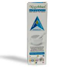 GTN 0.2% OINTMENT (NIGEHBAN)