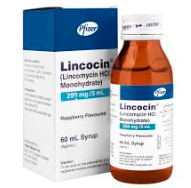 LINCOCIN SYP 60ML