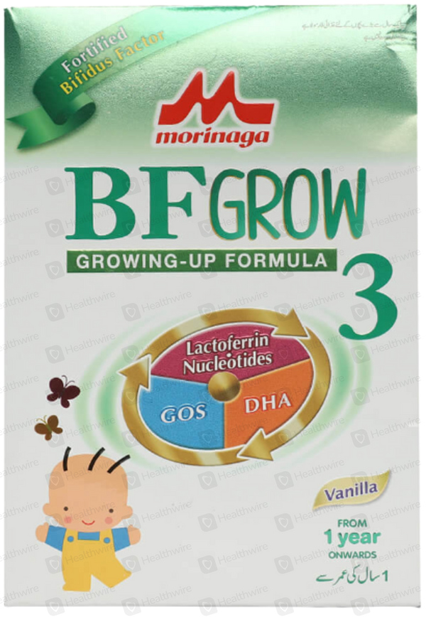 MORINAGA BF 3 300 G