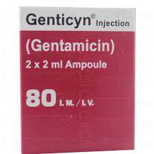 GENTICYN 80MG 2ML INJ