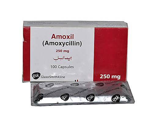 AMOXIL CAP 250MG (100 S)