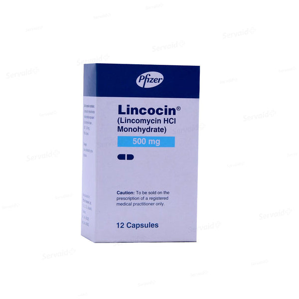 LINCOCIN CAP 500MG