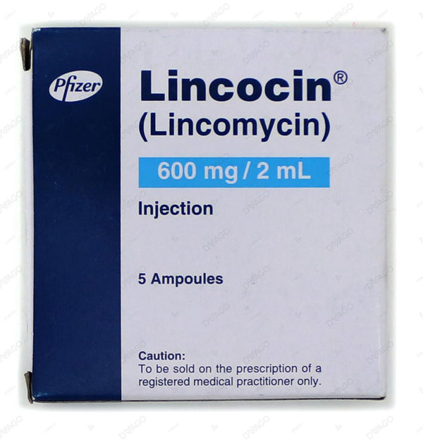 LINCOCIN 600MG INJ 2ML