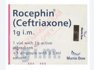 ROCEPHIN  1G IM INJ
